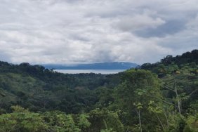 Terreno en Venta en Puerto Jiménez San Miguel de Cañaza, Puntarenas