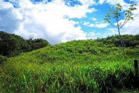 Terreno en Venta en Ciudad Cortes Osa, Puntarenas