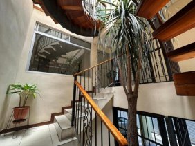 Comercio en Venta en  Anselmo Llorente, San José