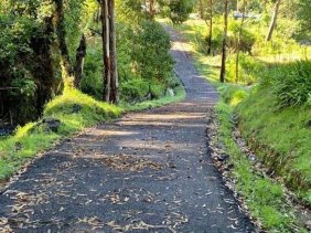 Finca en Venta en Copey Dota, San José