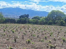 Terreno en Venta en  Barva, Heredia