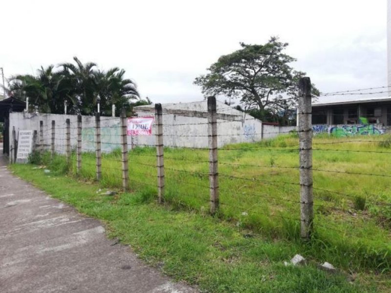 Foto Terreno en Venta en Belén, Belén, Heredia - ¢ 65.000.000 - TEV46266 - BienesOnLine
