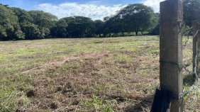 Terreno en Venta en  Carrillo, Guanacaste