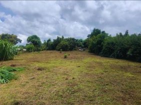 Terreno en Venta en  Corralillo, Cartago