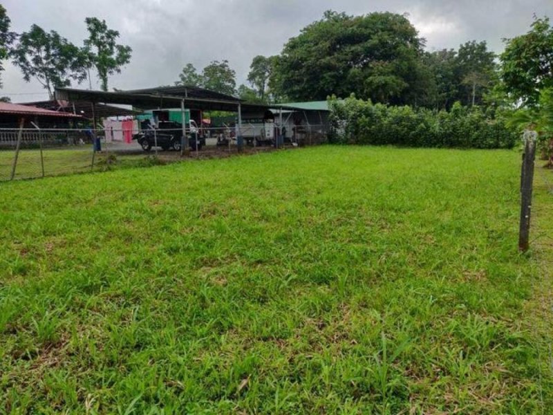 Foto Terreno en Venta en Pococí, Limón - ¢ 12.000.000 - TEV57543 - BienesOnLine