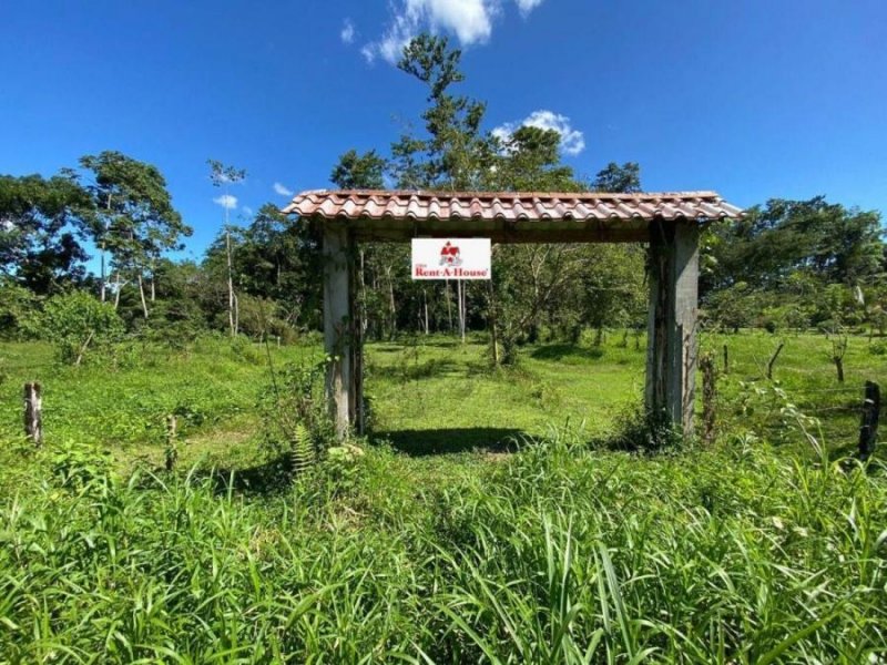 Venta de Lote en Grecia, Alajuela. RAH 25-1784