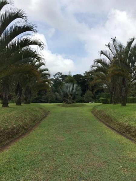 Foto Terreno en Venta en Pococí, Guácimo, Limón - ¢ 63.000.000 - TEV46334 - BienesOnLine