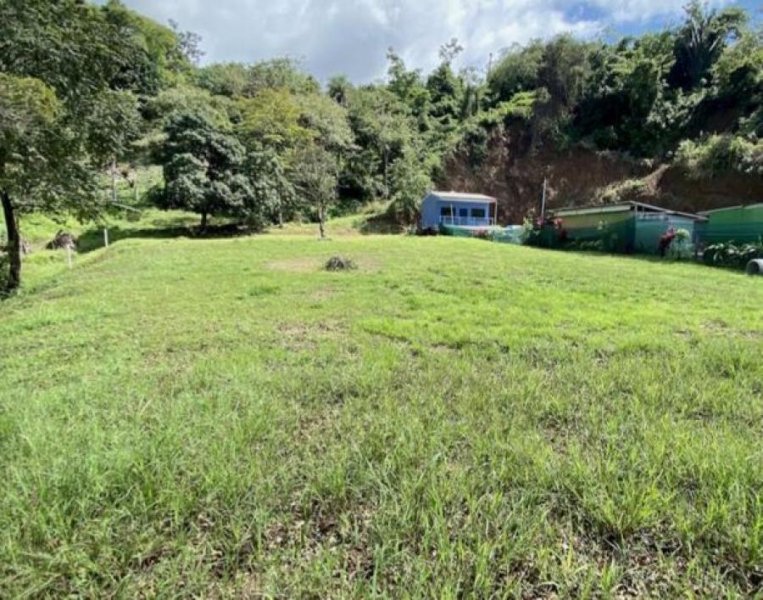 Foto Terreno en Venta en Jacó, Jacó, Puntarenas - ¢ 174.000.000 - TEV44935 - BienesOnLine