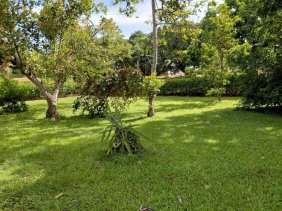 Terreno en Venta en  Orotina, Alajuela