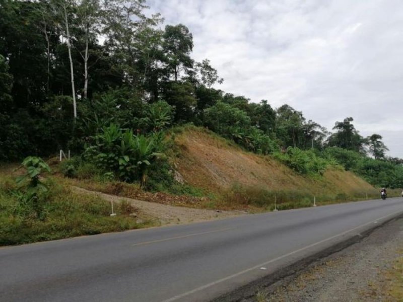 Foto Terreno en Venta en Matina, Limón - ¢ 29.000.000 - TEV55007 - BienesOnLine