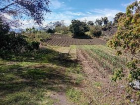 Terreno en Venta en  Cot, Cartago