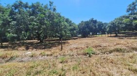 Terreno en Venta en  Orotina, Alajuela