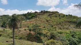 Terreno en Venta en  Orotina, Alajuela