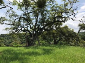 Terreno en Venta en  Orotina, Alajuela