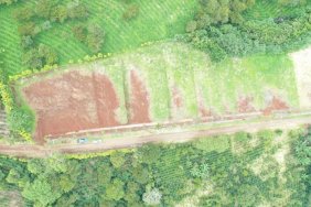 Terreno en Venta en  Naranjo, Alajuela