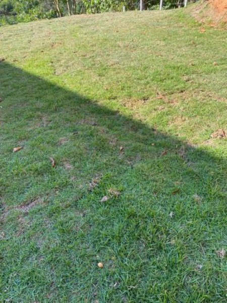 Foto Terreno en Venta en Perez Zeledón, San José - ¢ 18.000.000 - TEV57582 - BienesOnLine