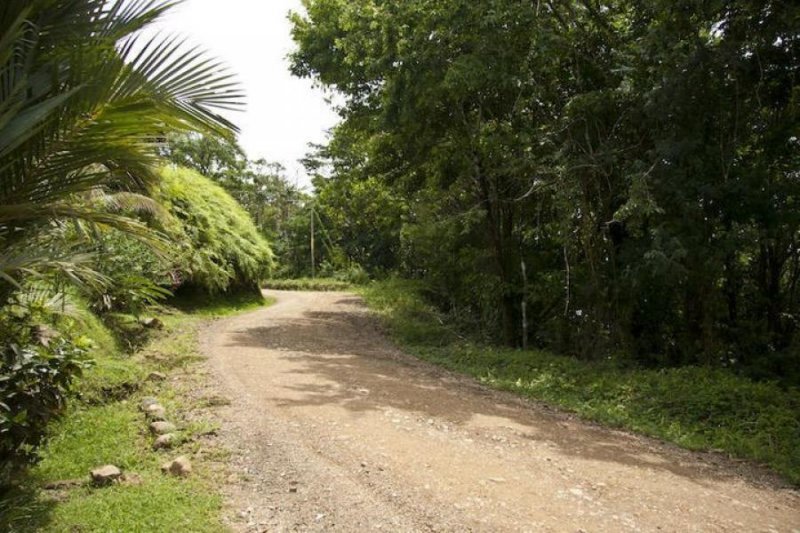 Terreno en Venta en  Perez Zeledón, San José