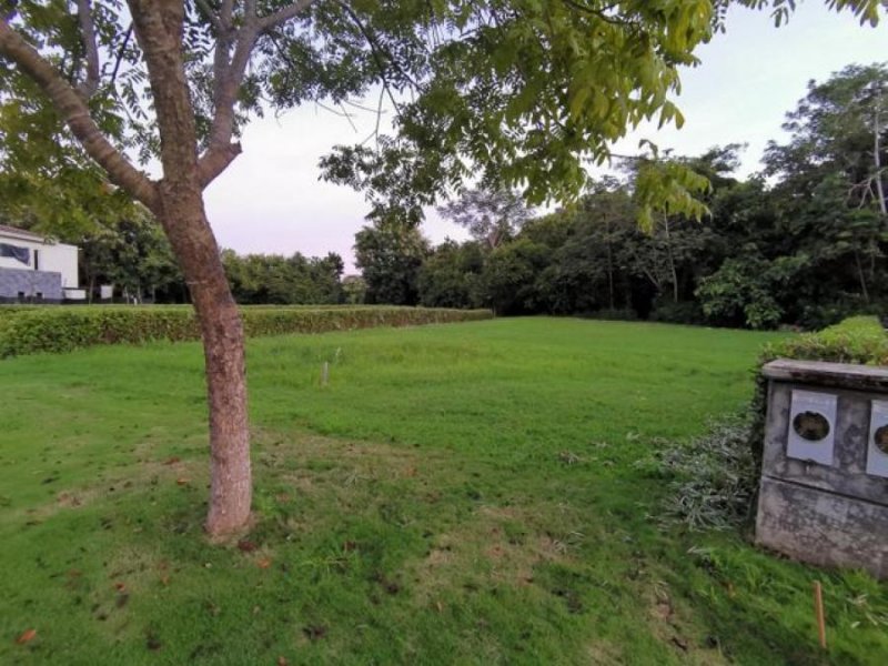 Foto Terreno en Venta en Jacó, Puntarenas - U$D 220.000 - TEV56687 - BienesOnLine