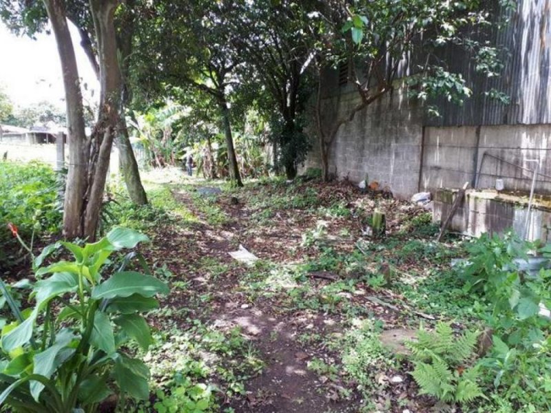 Foto Terreno en Venta en San Francisco de Dos Ríos, San Francisco de Dos Ríos, San José - ¢ 80.000.000 - TEV51157 - BienesOnLine