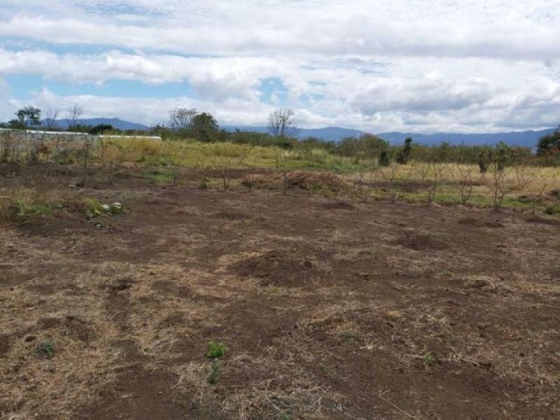 Terreno en Venta en  San Francisco, Heredia