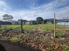 Terreno en Venta en  Naranjo, Alajuela