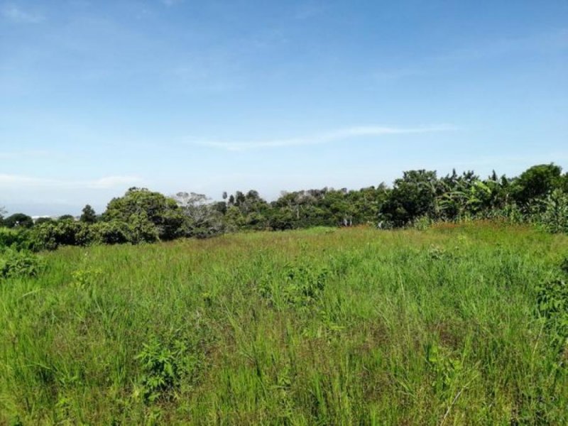 Foto Terreno en Venta en Concepción, San Rafael, Heredia - ¢ 135.000.000 - TEV56234 - BienesOnLine