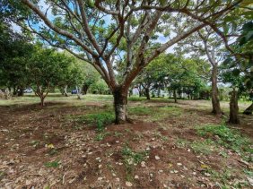 Terreno en Venta en  San Rafael, Heredia