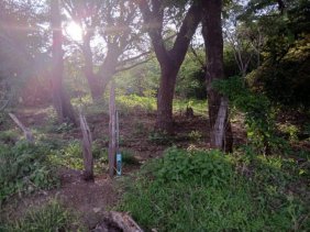 Terreno en Venta en  Santa Cruz, Guanacaste