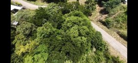 Terreno en Venta en  Santa Cruz, Guanacaste