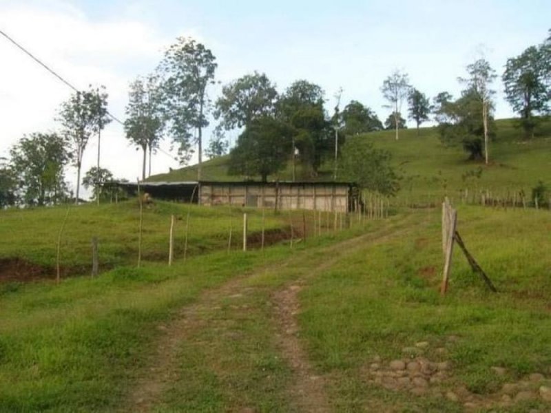 Foto Terreno en Venta en Sarapiquí, Heredia - U$D 700.000 - TEV55006 - BienesOnLine