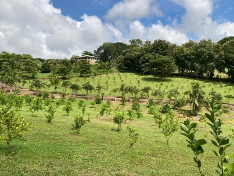 Terreno en Venta en  Tarcoles, Puntarenas