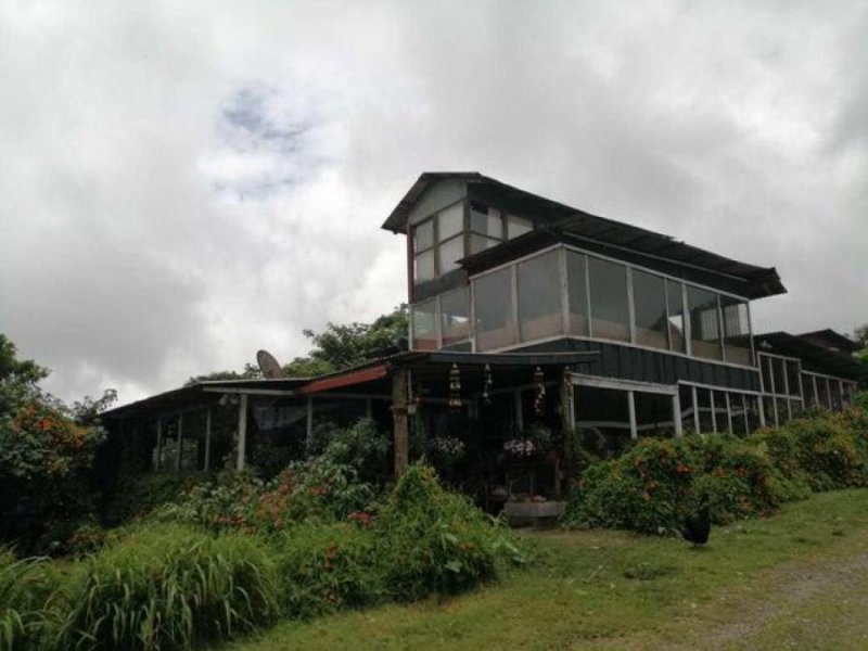 Foto Terreno en Venta en Calle Iglesias, Vasquez de Coronado, San José - U$D 195.000 - TEV42392 - BienesOnLine