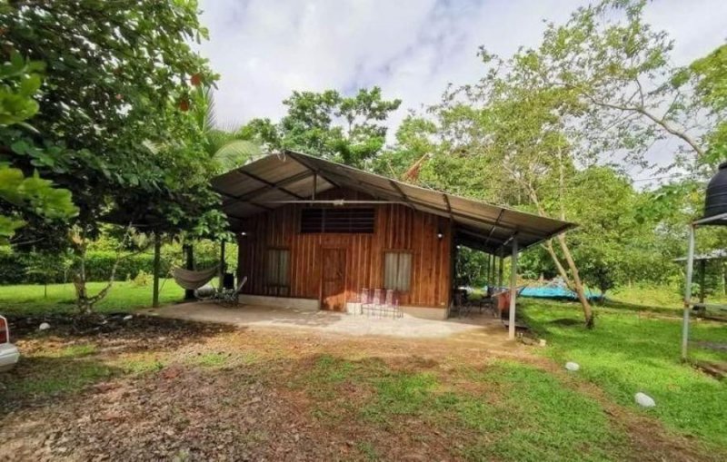 Foto Terreno en Venta en San Ramón, San Ramón, Alajuela - ¢ 51.000.000 - TEV50372 - BienesOnLine