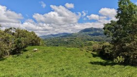 Terreno en Venta en San Isidro de El  General Perez Zeledón, San José
