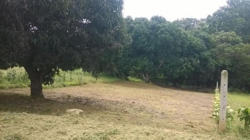 Terreno en Venta en Barrio Jesus Alajuela, Alajuela
